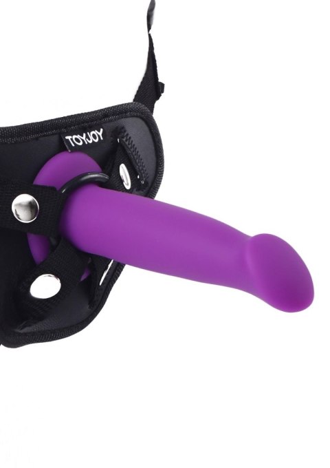 Goodhead Dong 6 Inch Purple ToyJoy