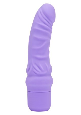 Mini Classic G-Spot Vibrator Purple ToyJoy