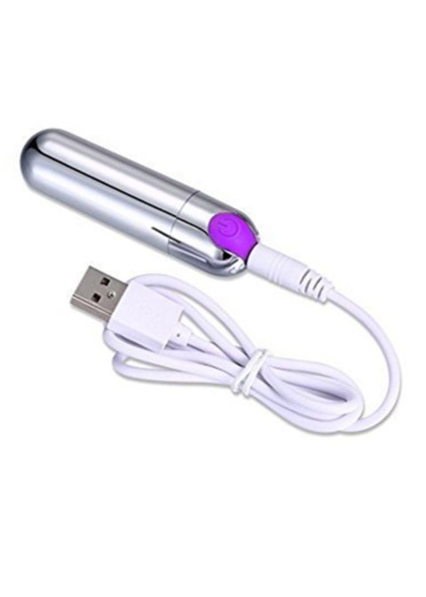 Wibrator-Strong Bullet Vibrator Silver/Purple USB 10 Function B - Series Magic