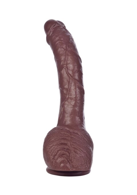 COLT Adam Dexter Cock Brown skin tone Calexotics