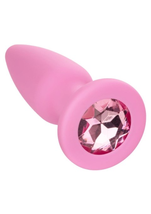 Crystal Booty Kit Pink Calexotics