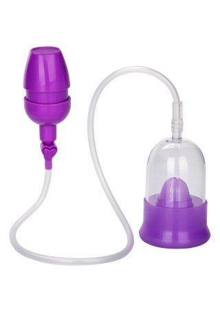 Intimate Pump Purple Calexotics