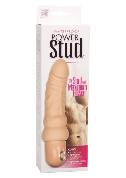 Power Stud Curvy Light skin tone Calexotics