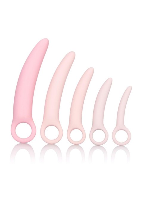 Silicone Dilator 5pcs Set Pink Calexotics