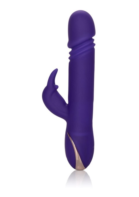 Thrusting Rabbit Signature Purple Calexotics