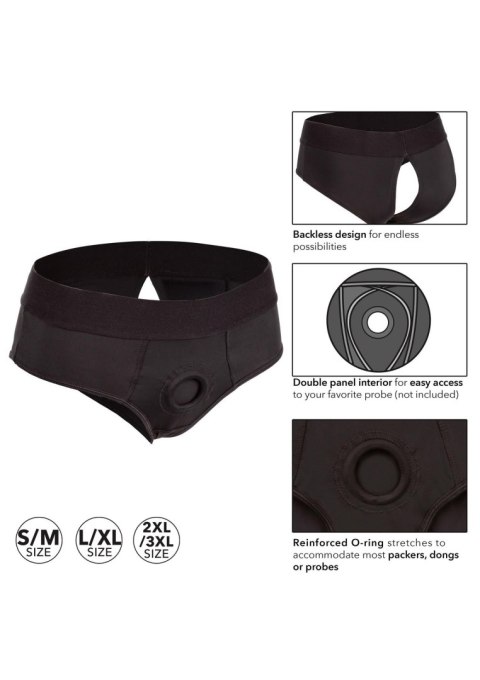 Boundless Backless Brief Black Calexotics