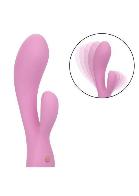 Contour Zoie Pink Calexotics