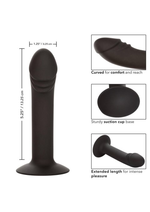 Curved Anal Stud Black Calexotics