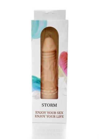 Wibrator-STORM-12 function vibrator B - Series Weather