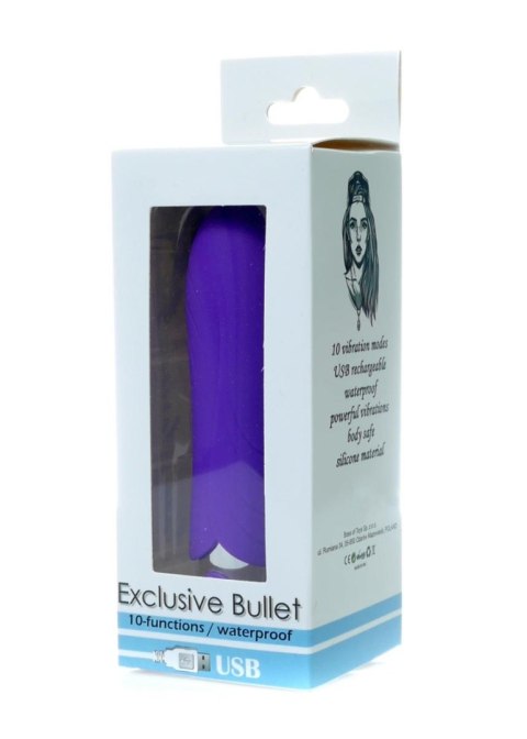 Exclusive Bullet USB 10 functions Purple B - Series Vision