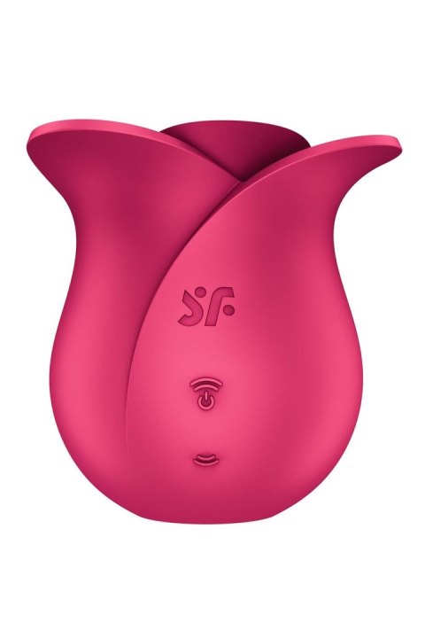 Pro 2 Modern Rose Satisfyer