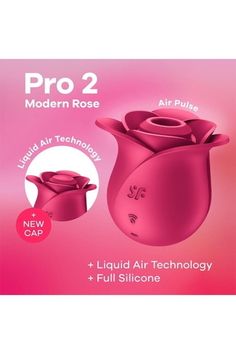 Pro 2 Modern Rose Satisfyer