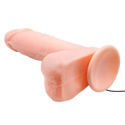 BAILE - REALISTIC MALE COCK AND TIGHT ASS, Vibration Suction base Baile