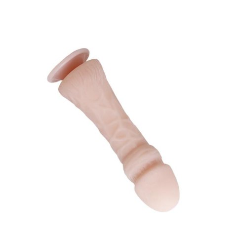 BAILE - The Big Penis, Vibration, Suction base Baile