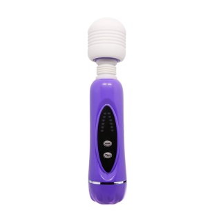 BAILE- MAGICAL MASSAGER, 1+3 combination, 12 vibration functions Baile