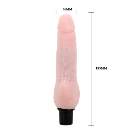 BAILE - The Realistic Cock, Vibration Baile