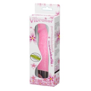 BAILE - Vibrator MULTI- SPEED Baile