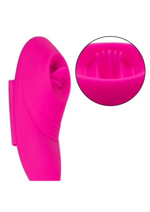 Remote Flicker Panty Teaser Pink Calexotics