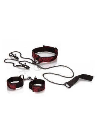 Scandal Submissive Kit Black Calexotics