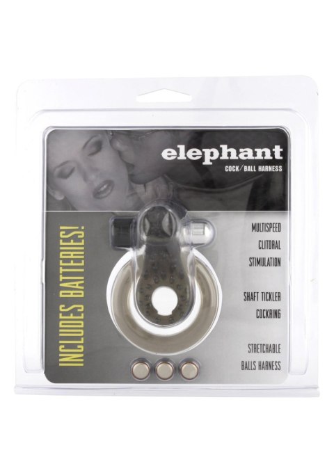 Cock & Ball Ring Elephant Transparent Seven Creations