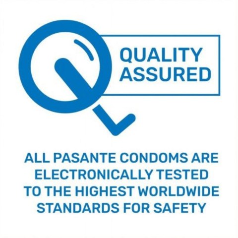 Pasante Regular condoms 12 pcs Pasante