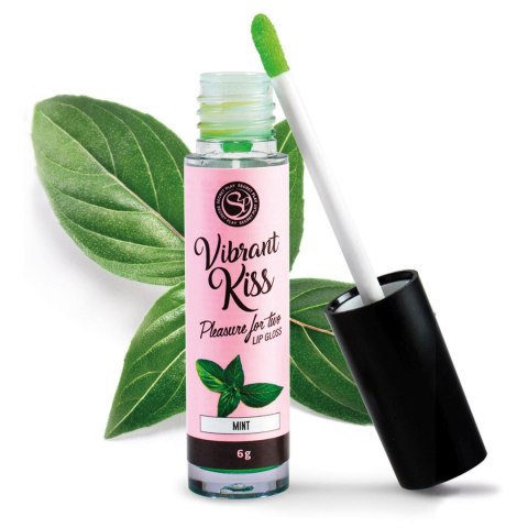 LIP GLOSS VIBRANT KISS MINT Secret Play