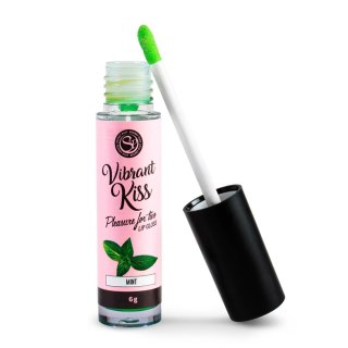 LIP GLOSS VIBRANT KISS MINT Secret Play