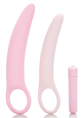 Vibrating Dilator 3pcs Set Pink Calexotics