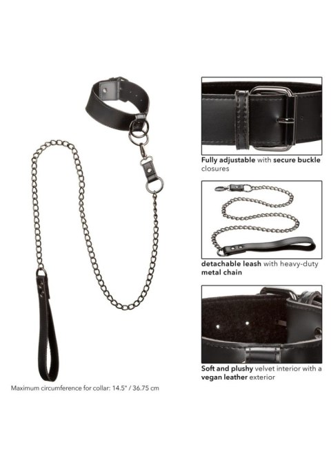 Collar With Chain Leash Black Calexotics