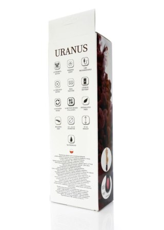 Wibrator-URANUS-USB-12function,up&down vibrator B - Series Weather