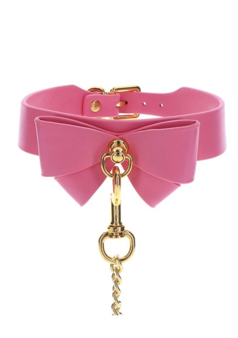 Collar and Leash Pink Taboom