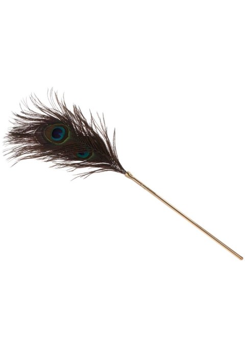 Peacock Tickler Rose Gold Taboom