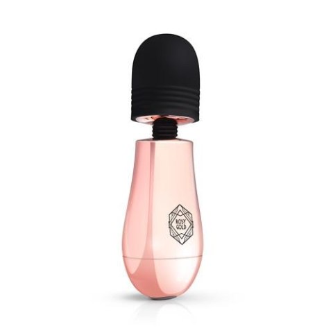 Rosy Gold - Nouveau Mini Massager EasyToys