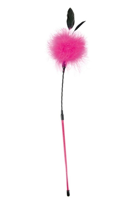 PINK POMPOM WHIP Sweet Caress