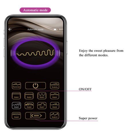 PRETTY LOVE - Baird, 12 vibration functions Mobile APP Long-distance Control Pretty Love