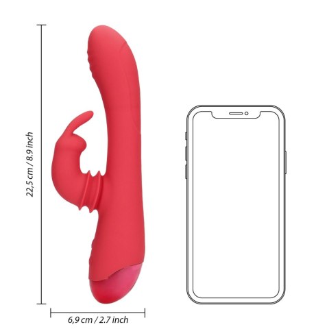 Swinging Rabbit G-Spot Vibrator Loveline