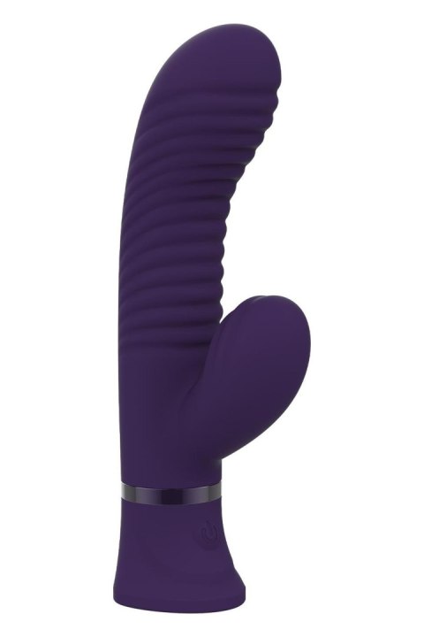 PLEASURE BOX SEXY CALENDAR Dream Toys