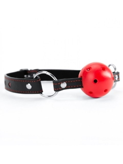 Red Heart Ball Gag Argus