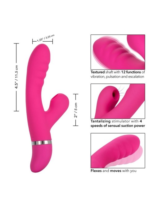 Foreplay Frenzy Pucker Pink Calexotics