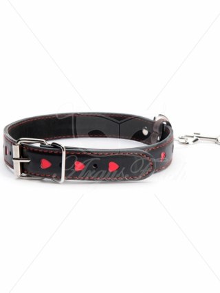 Hearts Collar And Leash Argus