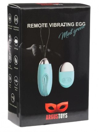 Remote Vibrating Egg Mint Green Argus