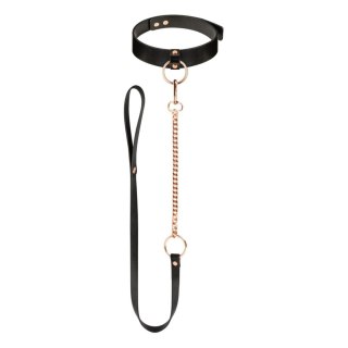 Rosy Gold - Collar with Leash - Black Rosy Gold