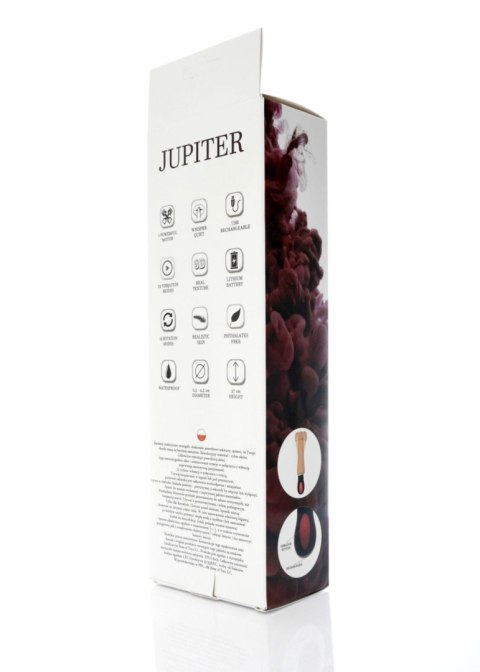 Wibrator-JUPITER-USB-12function,rotation vibrator B - Series Weather