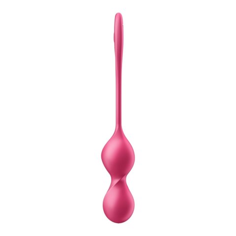 Love Birds 2 Connect App Satisfyer