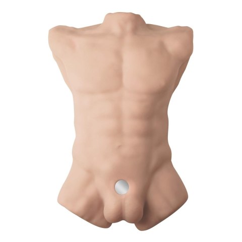 Apollo L Male Torso Flesh Silexd