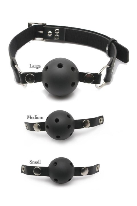 FETISH FANTASY SERIES BALL GAG TRAINING SYSTEM BLACK Pipedream