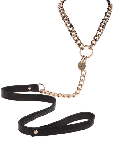 Statement Collar and leash Rose Gold Taboom