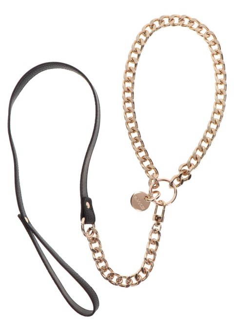 Statement Collar and leash Rose Gold Taboom