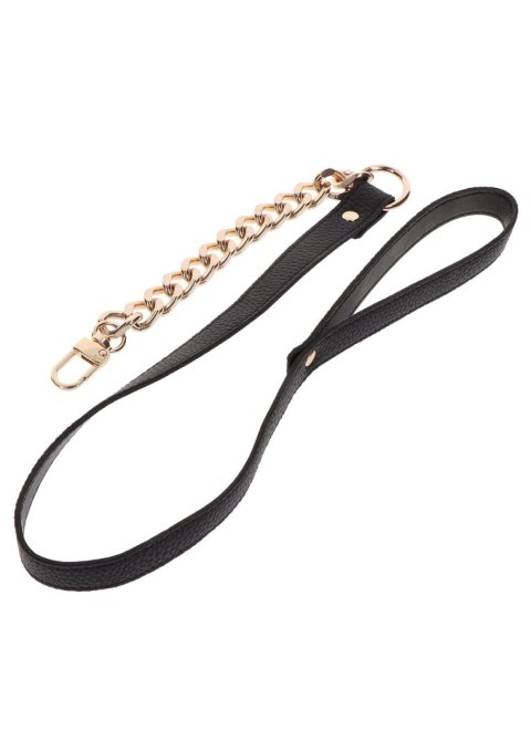 Statement Collar and leash Rose Gold Taboom