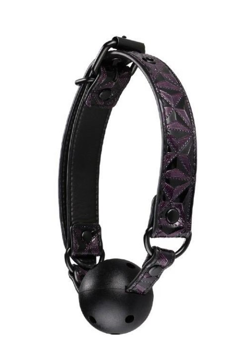 BLAZE BALL GAG PURPLE Dream Toys